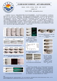 陈改拓--上海海洋大学.jpg