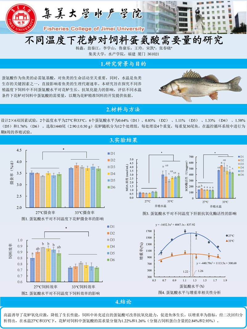 杨鑫--集美大学.png