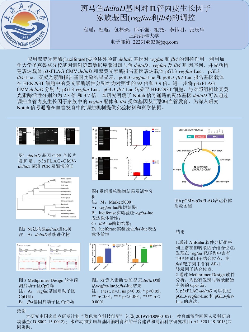 第1页.jpg