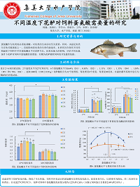 杨鑫--集美大学.png