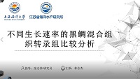 林志杰--上海海洋大学（浙江省海洋水产研究所联合培养）.jpg