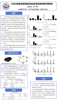 王林雨-电子墙报.png