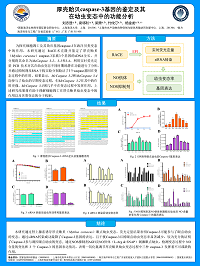 刘志显-上海海洋大学-厚壳贻贝caspase-3基因的鉴定及其在幼虫变态中的功能分析(1).png