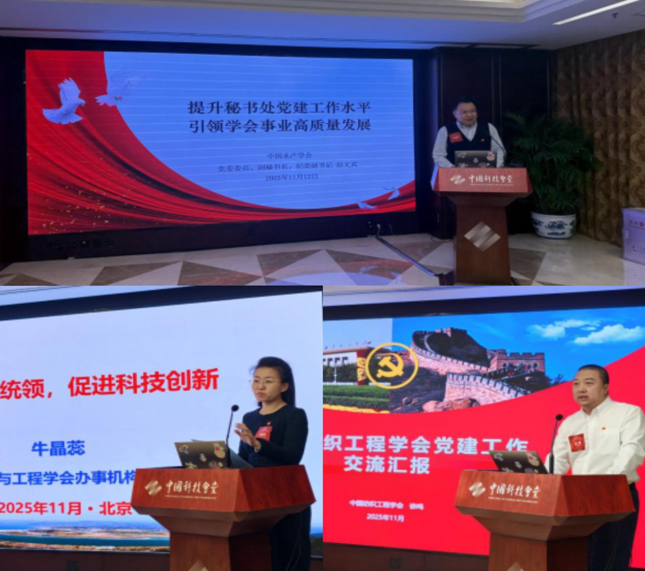 1763343689078029530.jpg 758dfb2f0e7d3c950308a80fca51fc1.jpg