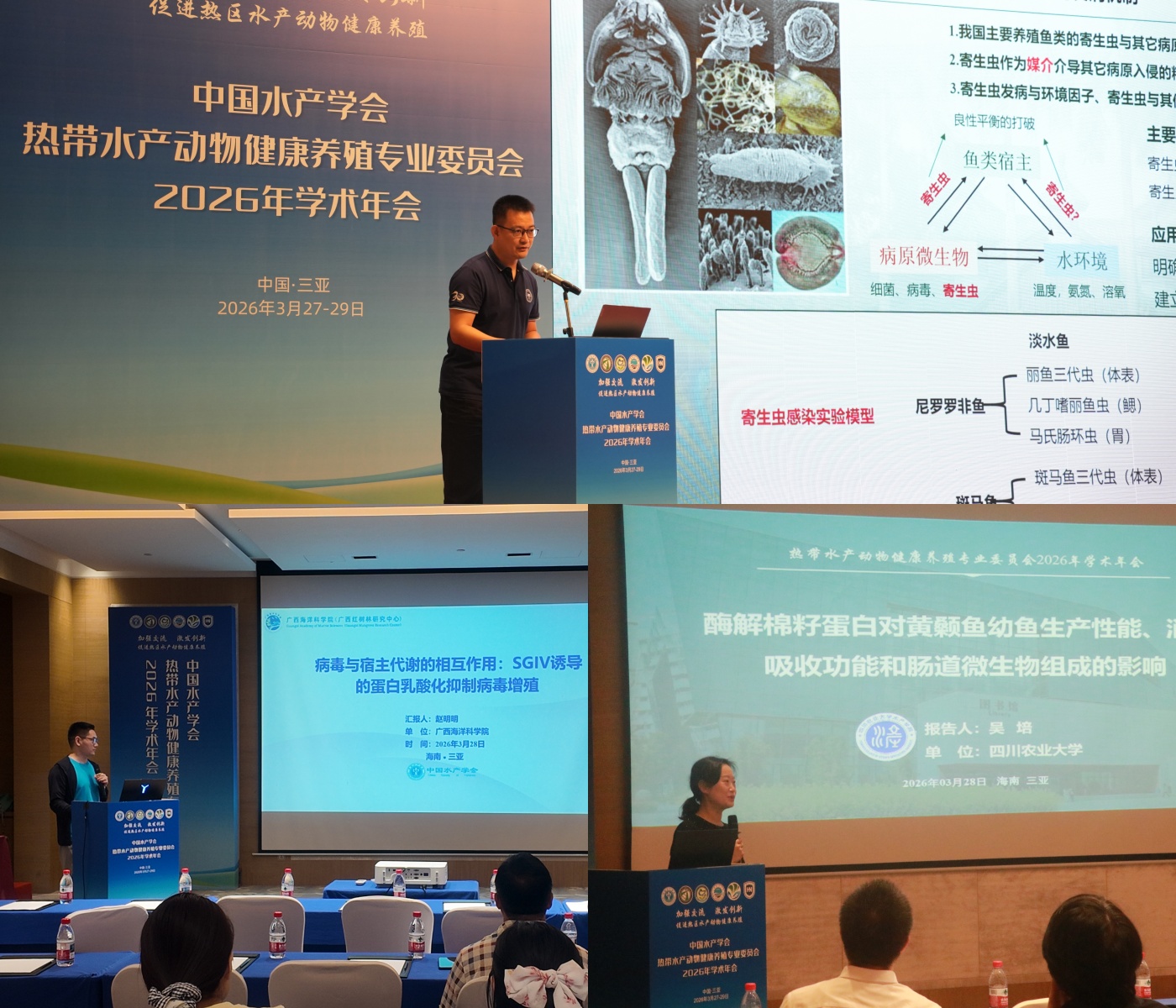 1775813970798047262.jpg 分会场.jpg